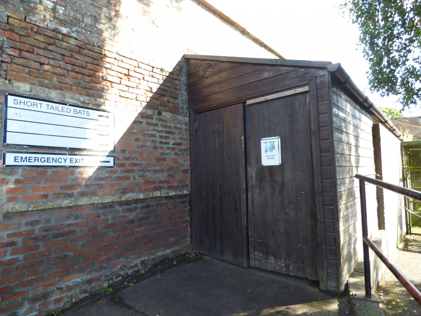 Entrance to bat house