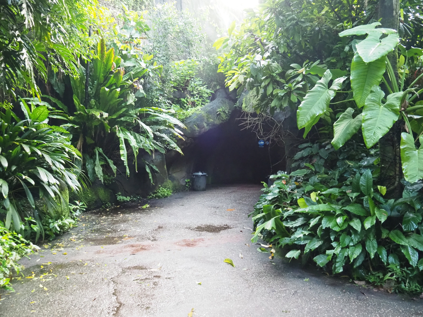 Entrance to Burgers' Ocean (Sep 16th, 2018)