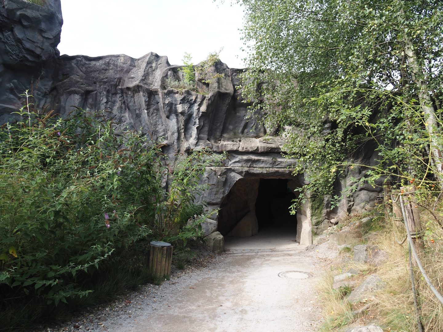 Entrance to California sea lion underwater viewing cave, 2024-08-05