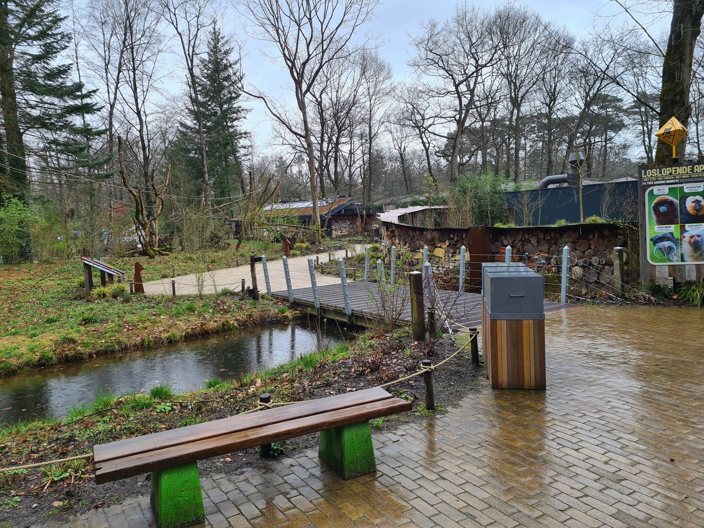 Entrance to Callitrichid forest