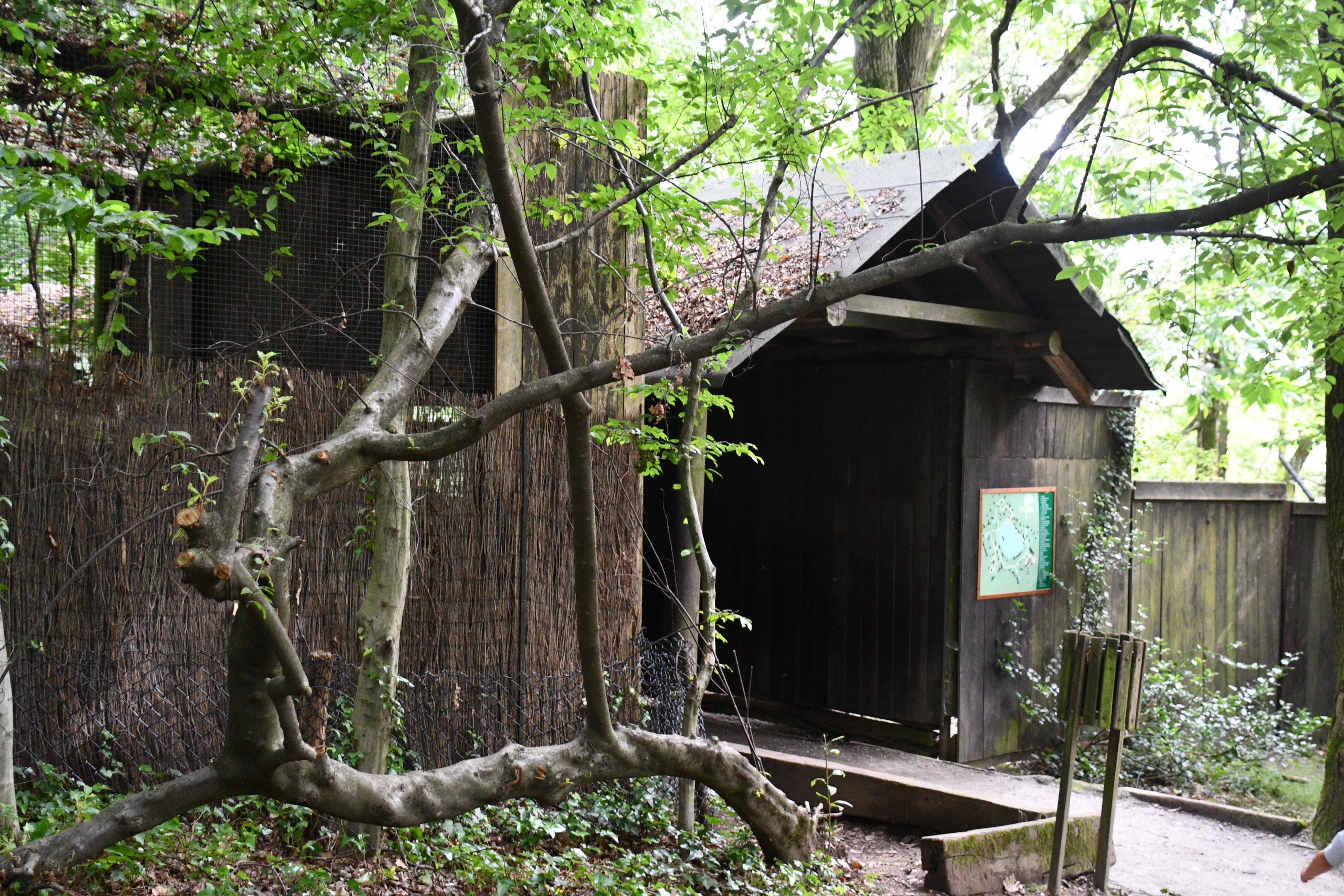 entrance to Capercaillie viewing area