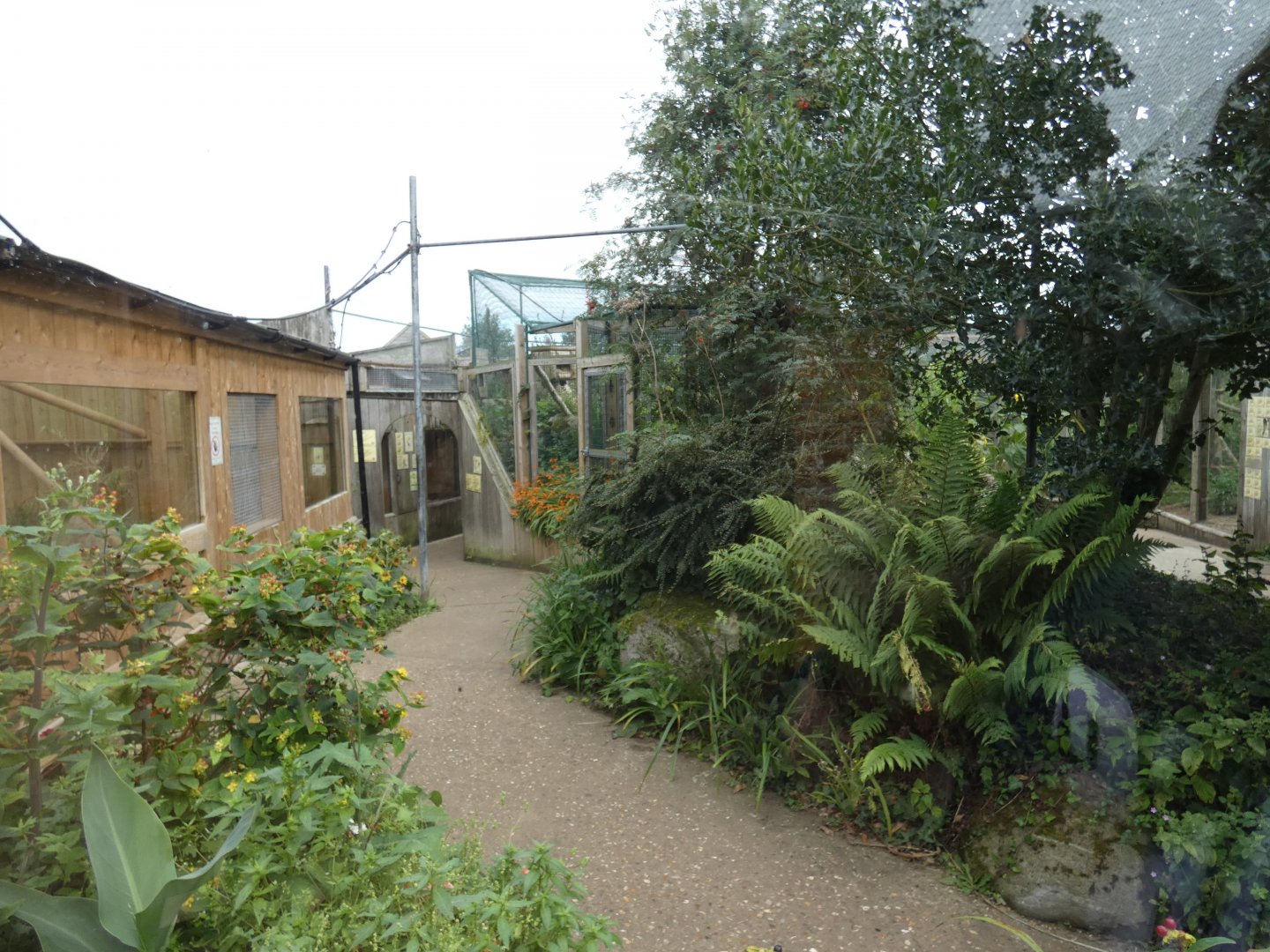 Entrance to Cat Cloisters