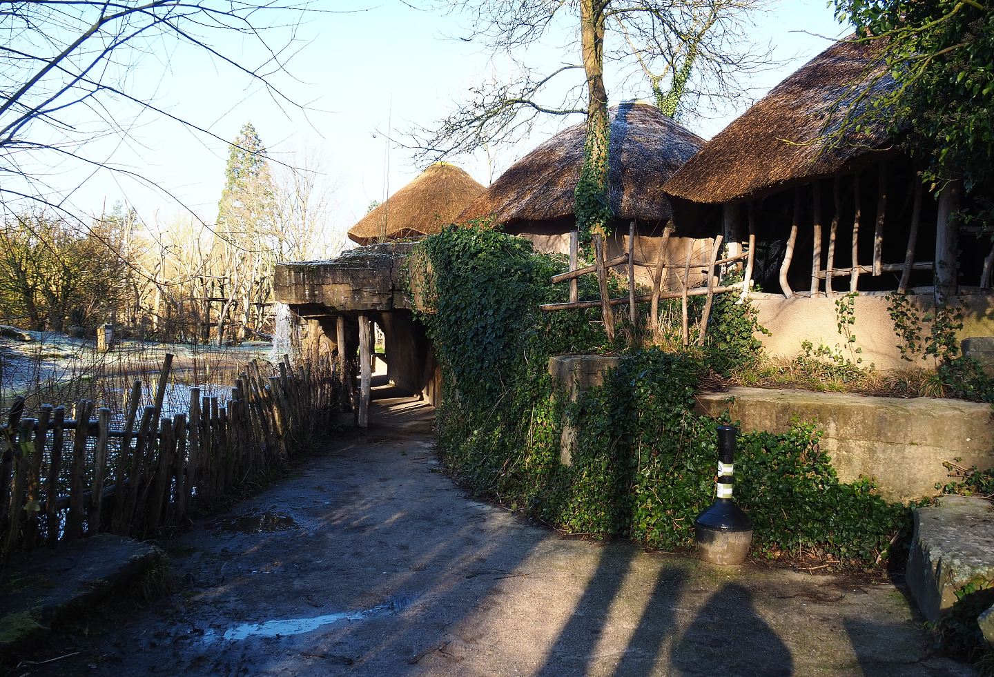 Entrance to cave underneath the African village with views of bonobo island, bonobo indoor housing and mongoose dens, 2022-02-12