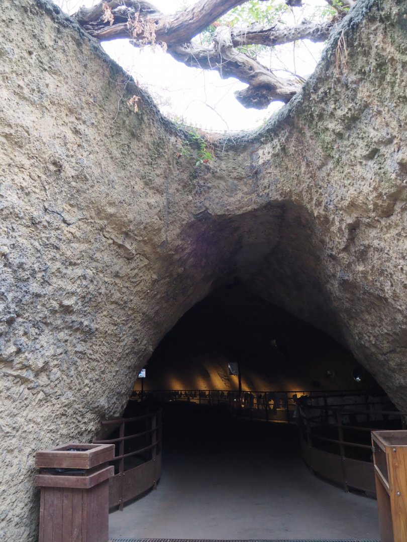Entrance to cave with Giant panda indoor exhibits, 2020-09-03
