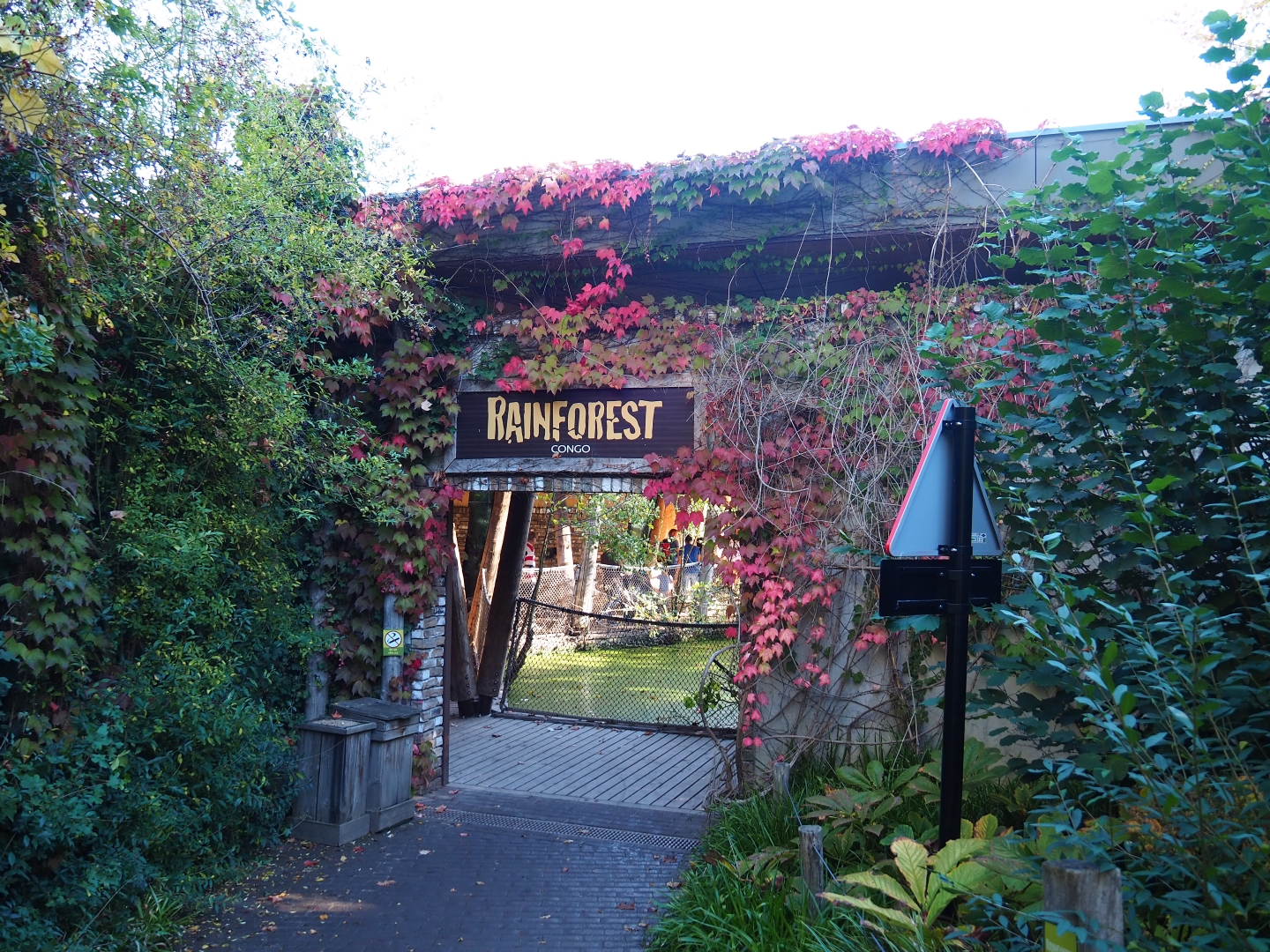 Entrance to Congo area (Oct 13th, 2018)