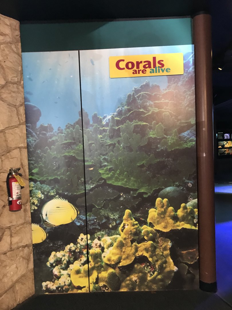 Entrance to Corals are Alive
