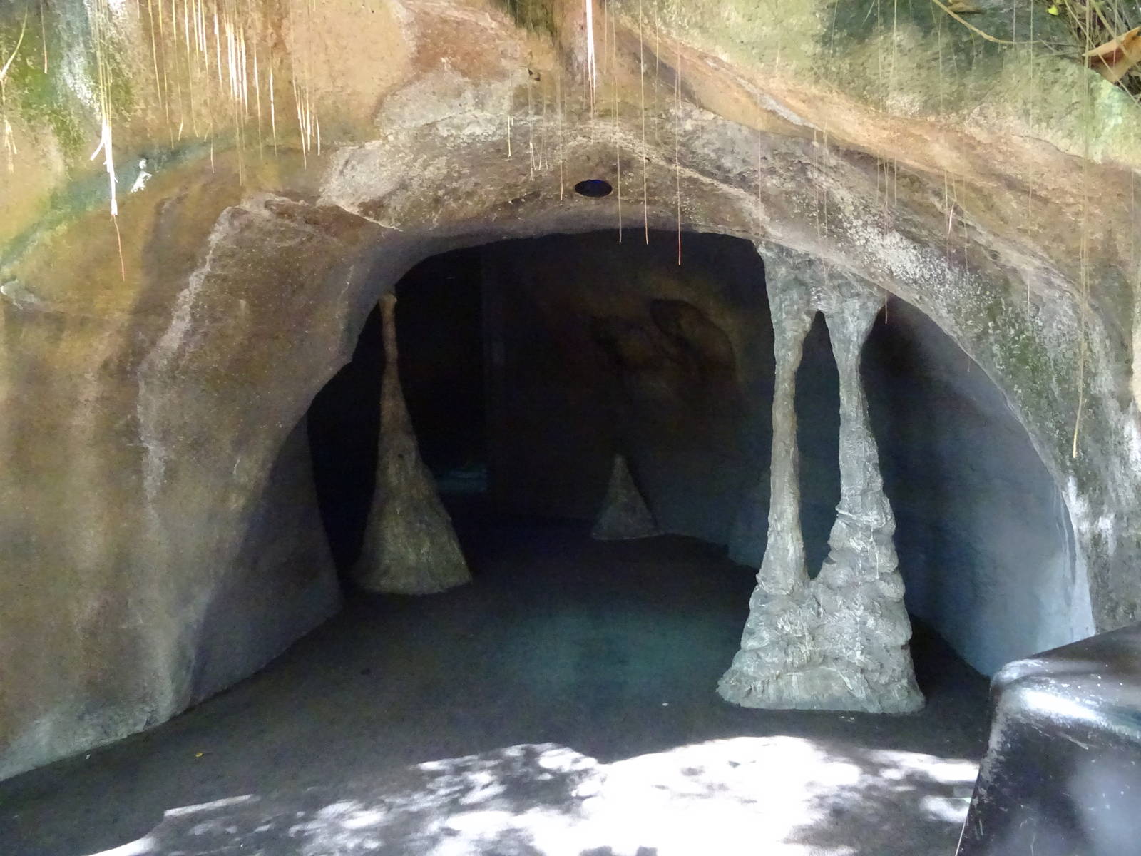 Entrance to Curiosity Caverns at Busch Gardens Tampa