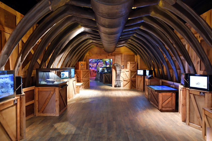 entrance to dinosaur room