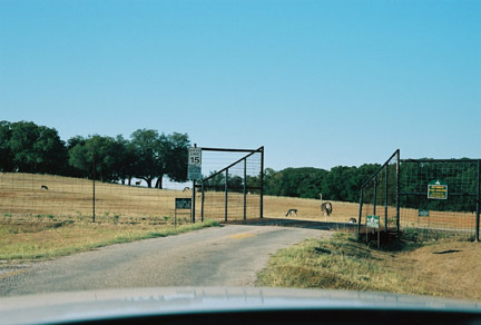 entrance to drive through