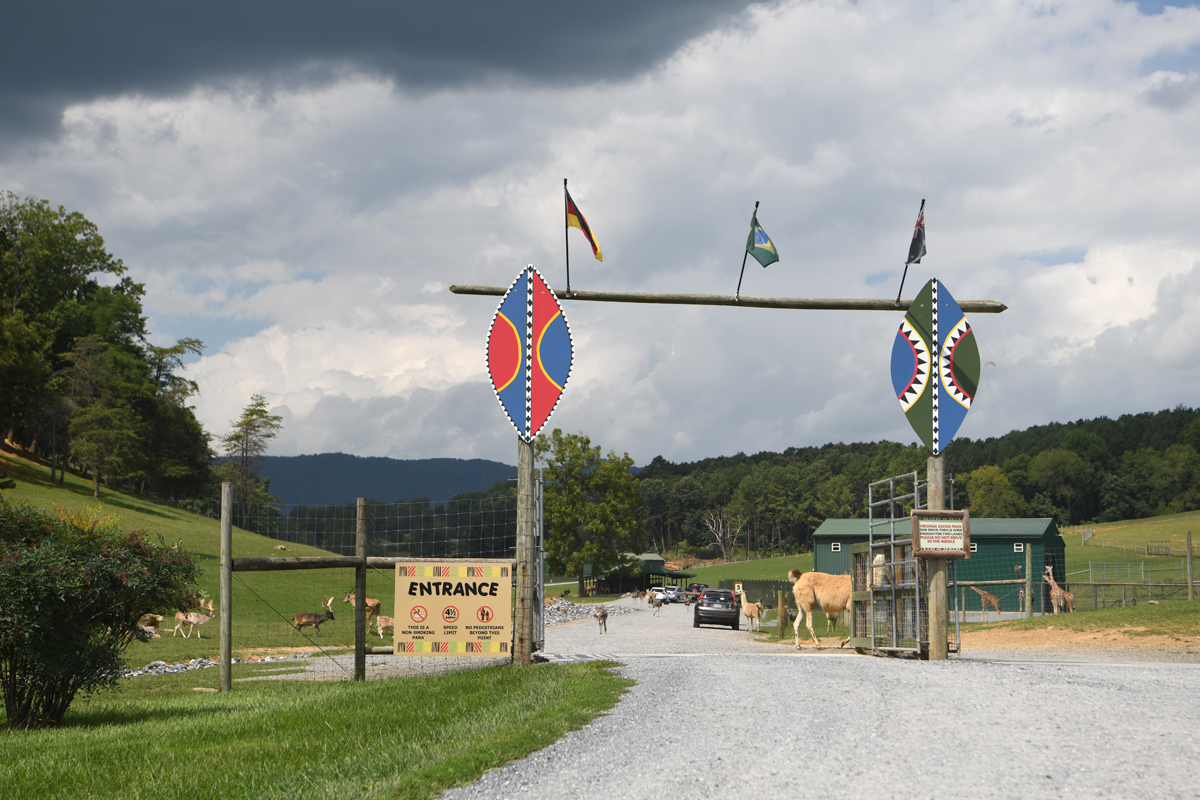 entrance to drive-thru