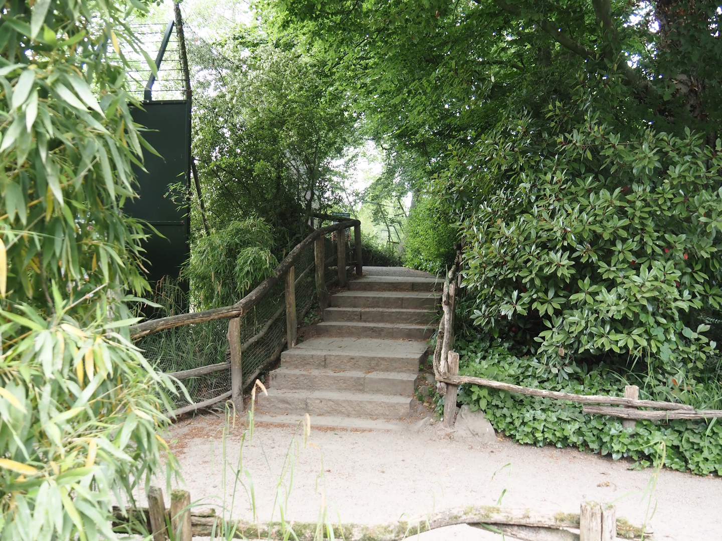 Entrance to elevated viewing area for Sumatran tigers, First Sumatran tiger exhibit, 2025-05-22