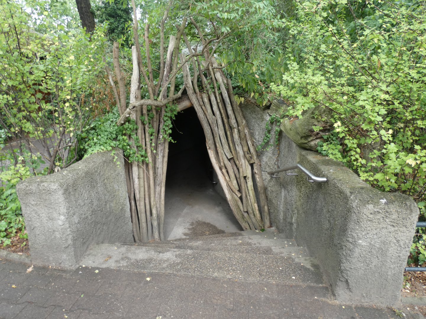 Entrance to Eurasian Beaver dens
