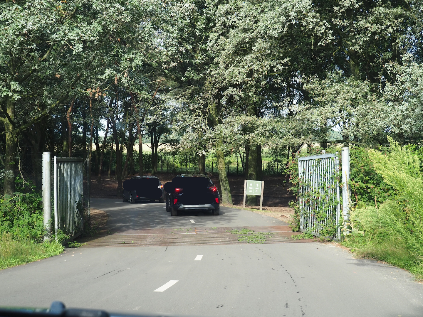 Entrance to European forest drive-through section, 2023-08-15