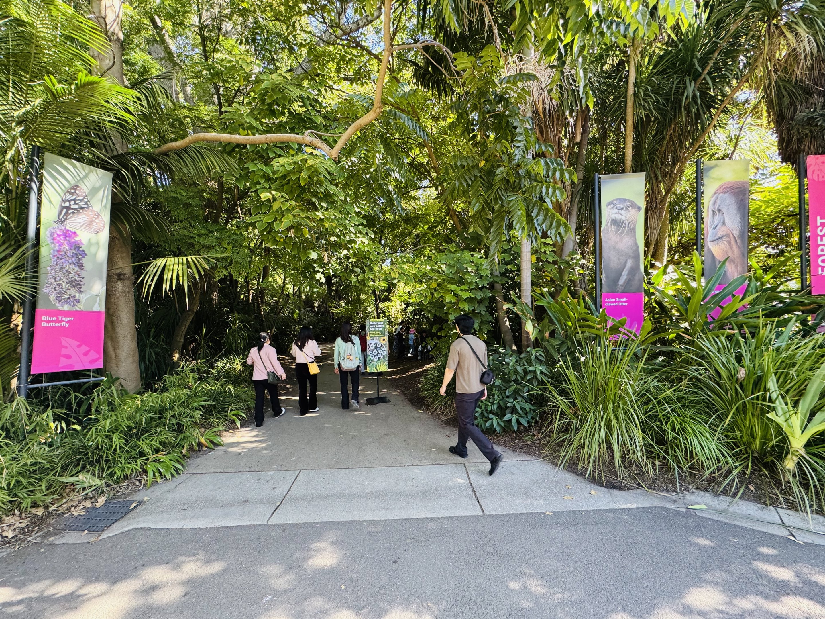 Entrance to Forest of Wonders