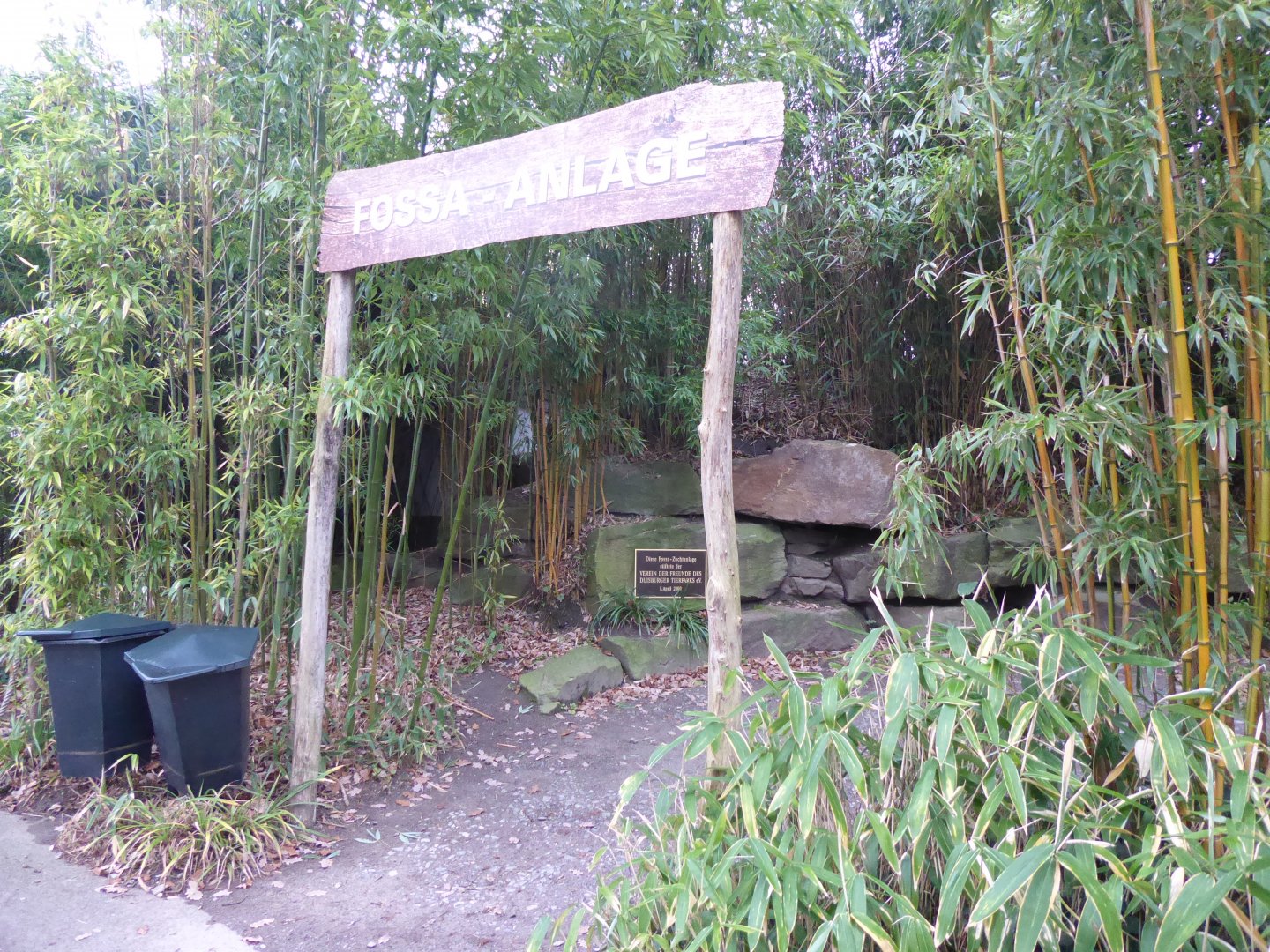 Entrance to Fossa area 011219