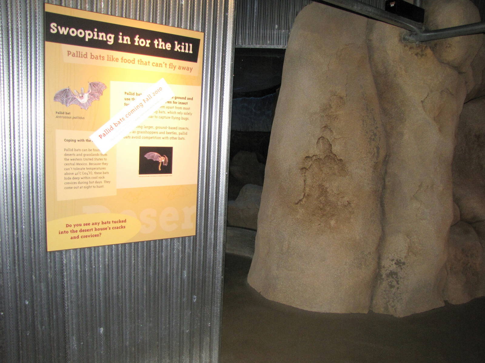 Entrance To Future Pallid Bat Habitat