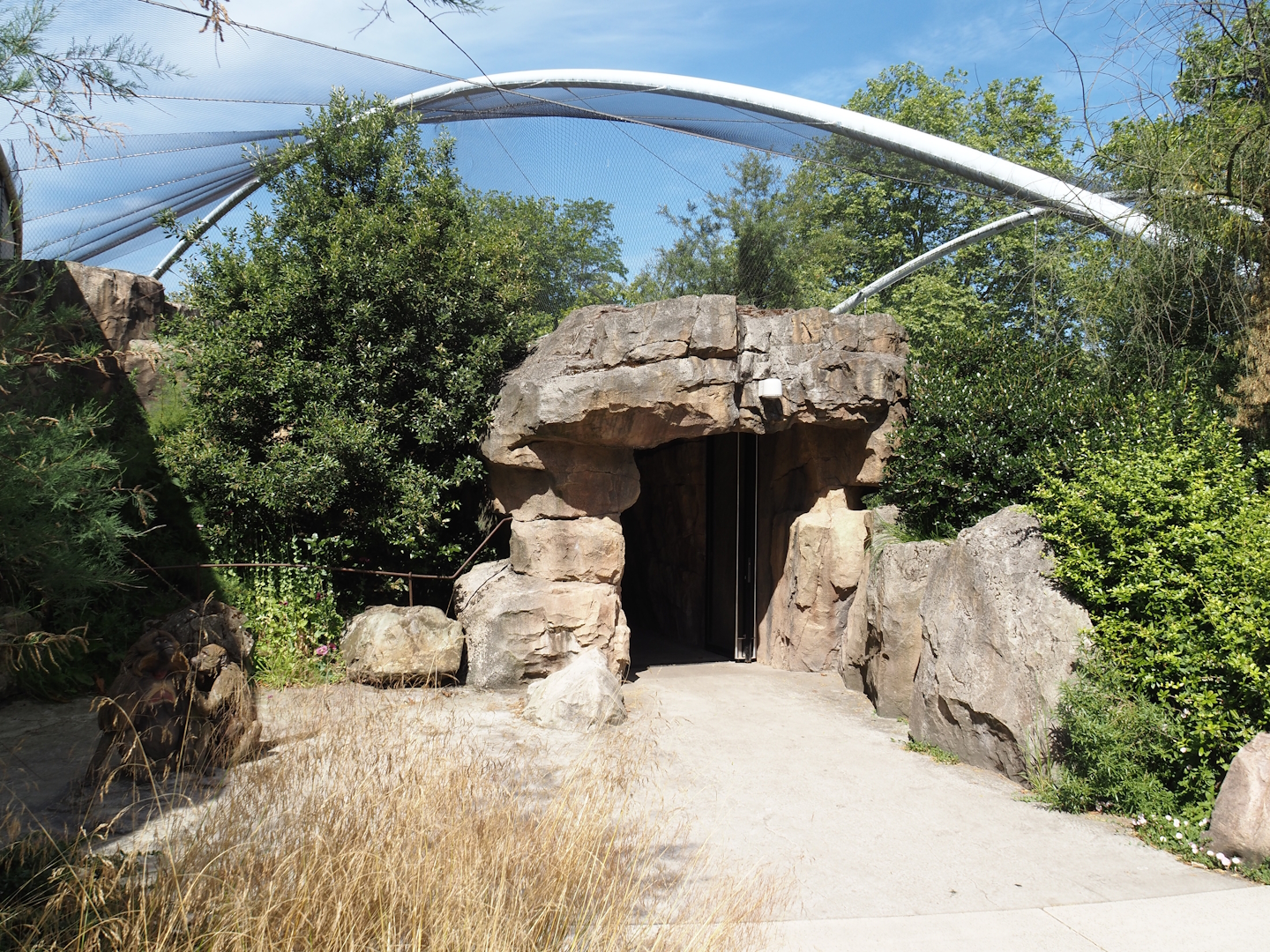 Entrance to gelada indoor housing in renovated old predator house, 2024-06-30