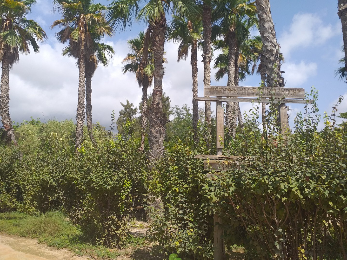 Entrance to Itanagar -TerraNatura Benidorm (2021)