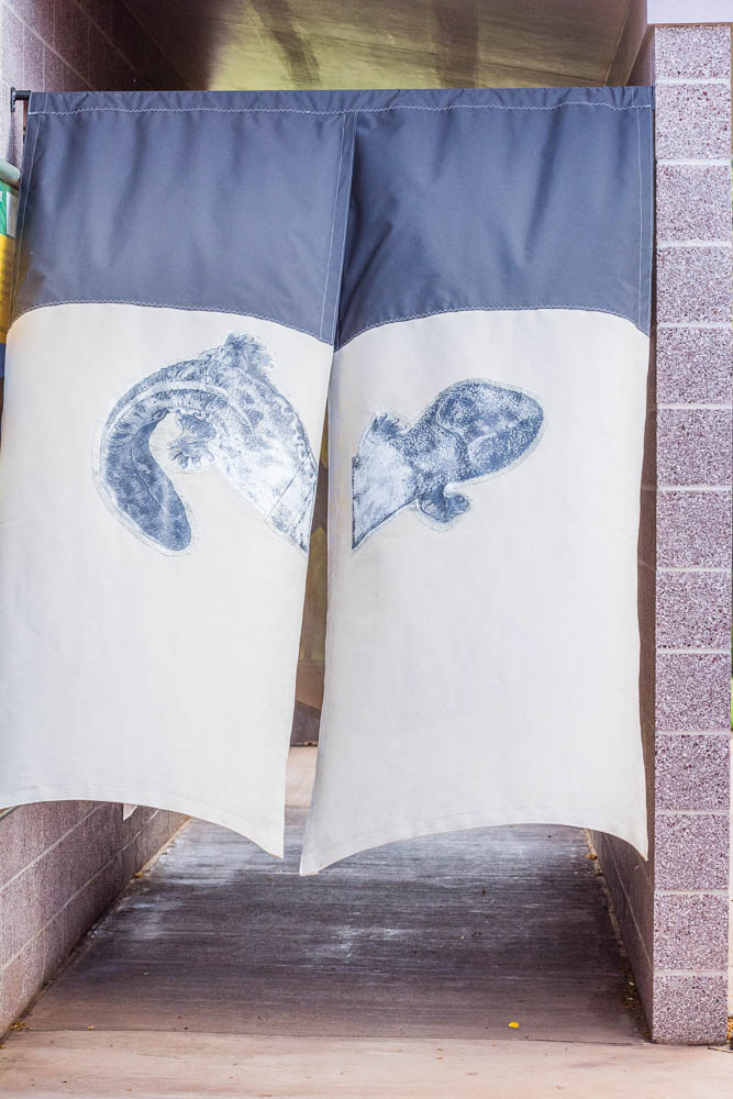 Entrance to Japanese Salamander exhibit