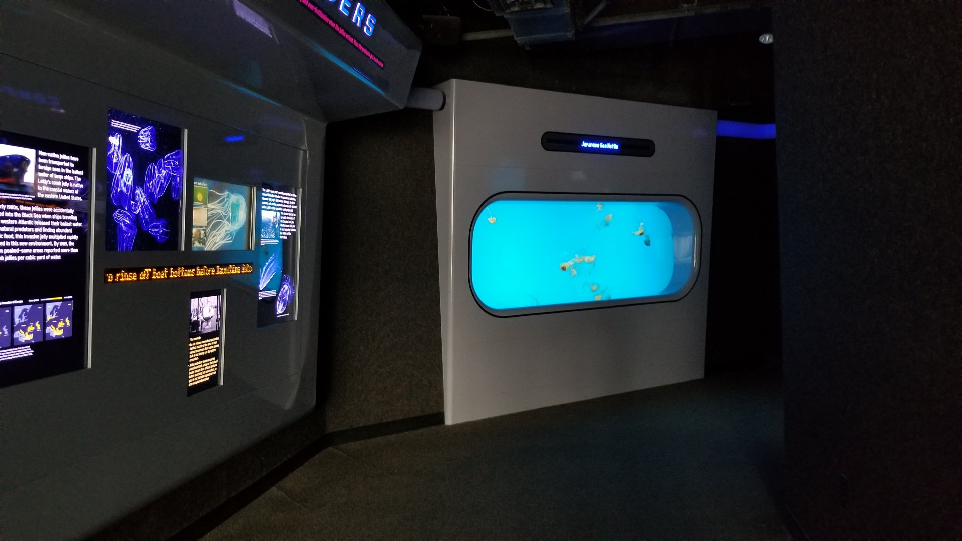 Entrance to Jelly Invasion