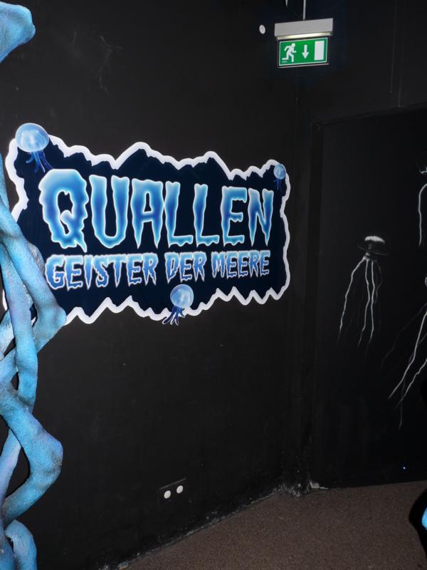 Entrance to Jellyfish exhibition