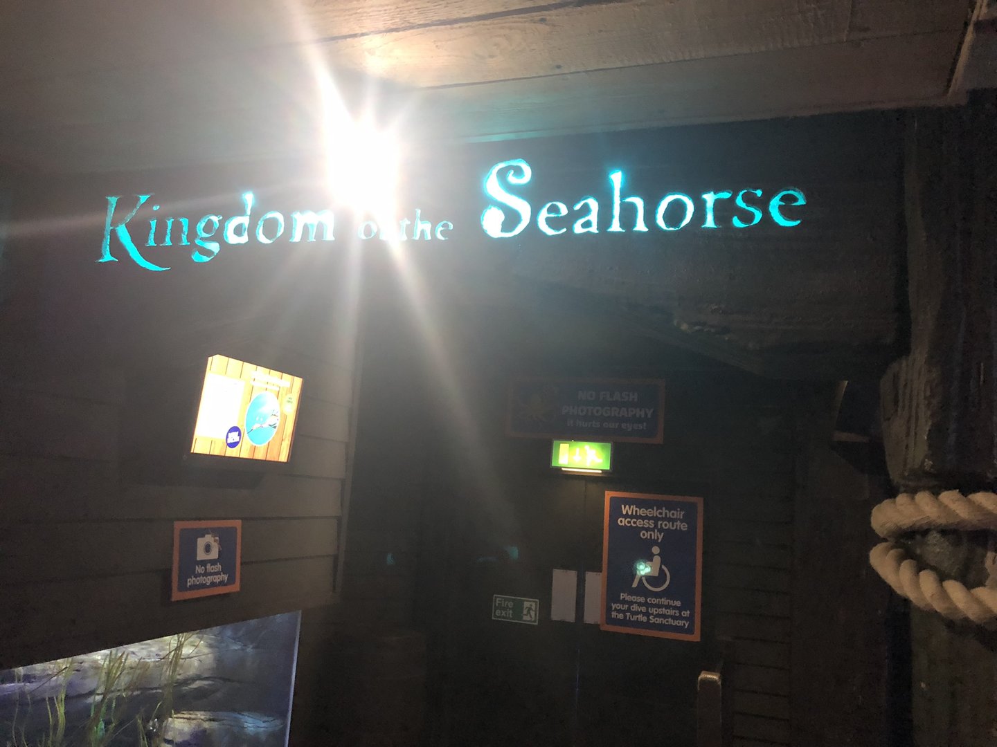 Entrance to Kingdom of the Seahorse at SEA LIFE Scarborough (September 2022)
