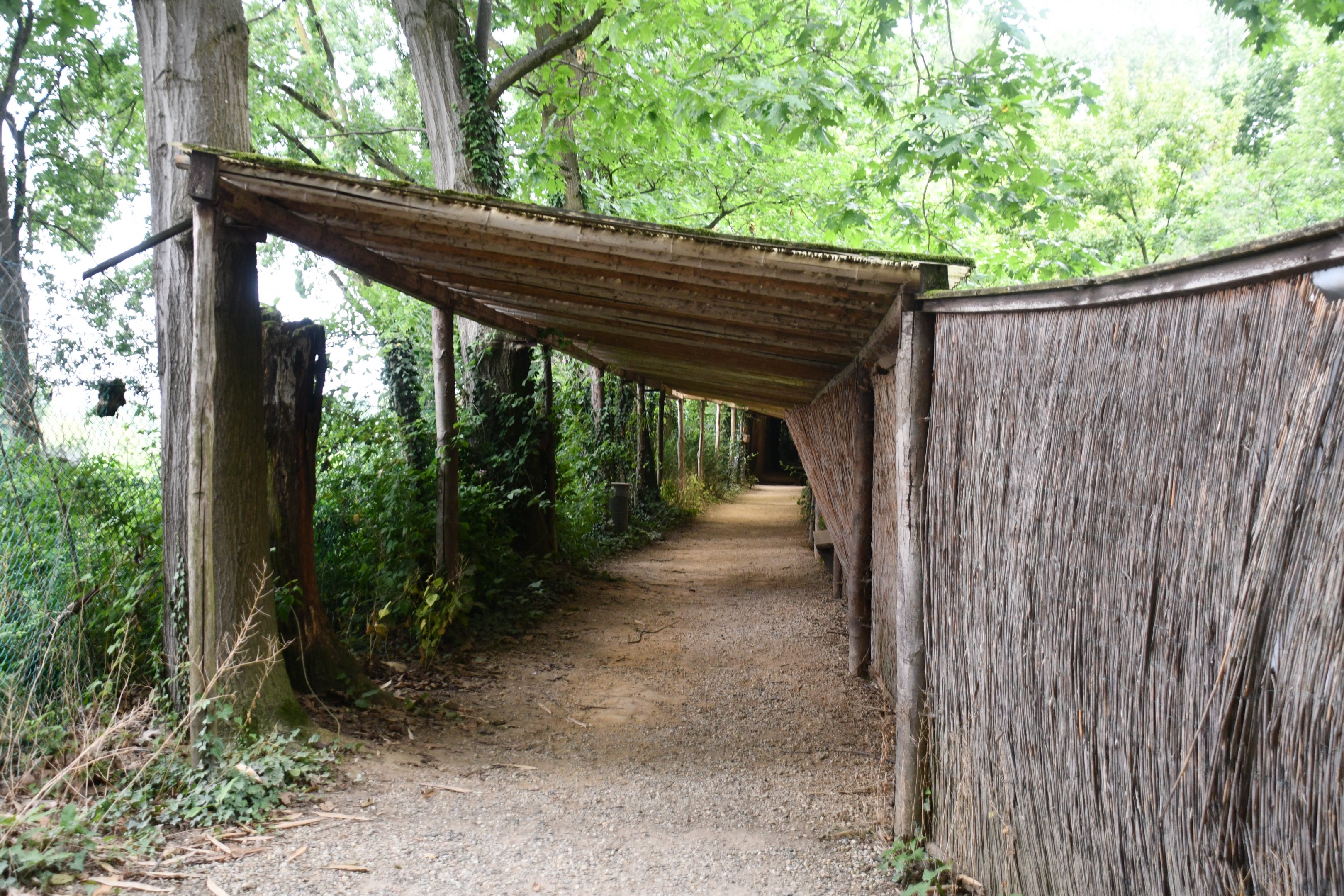 entrance to Kingfisher exhibit viewing tunnel