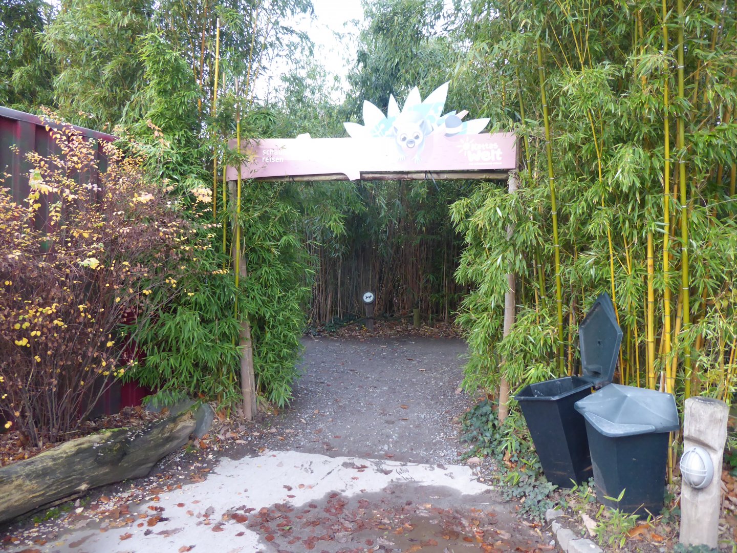 Entrance to Lemur walkthrough 011219