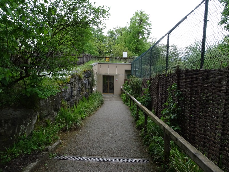Entrance to lion house with lion enclosure on the right
