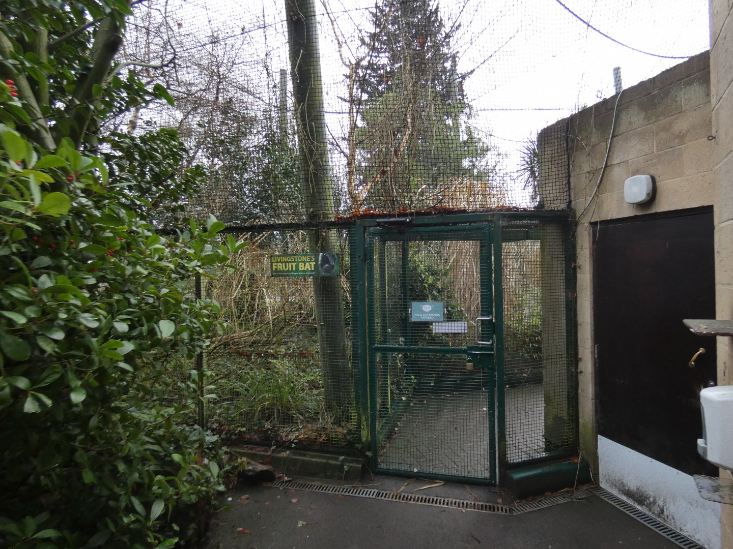 Entrance to Livingstone's Fruit bat enclosure