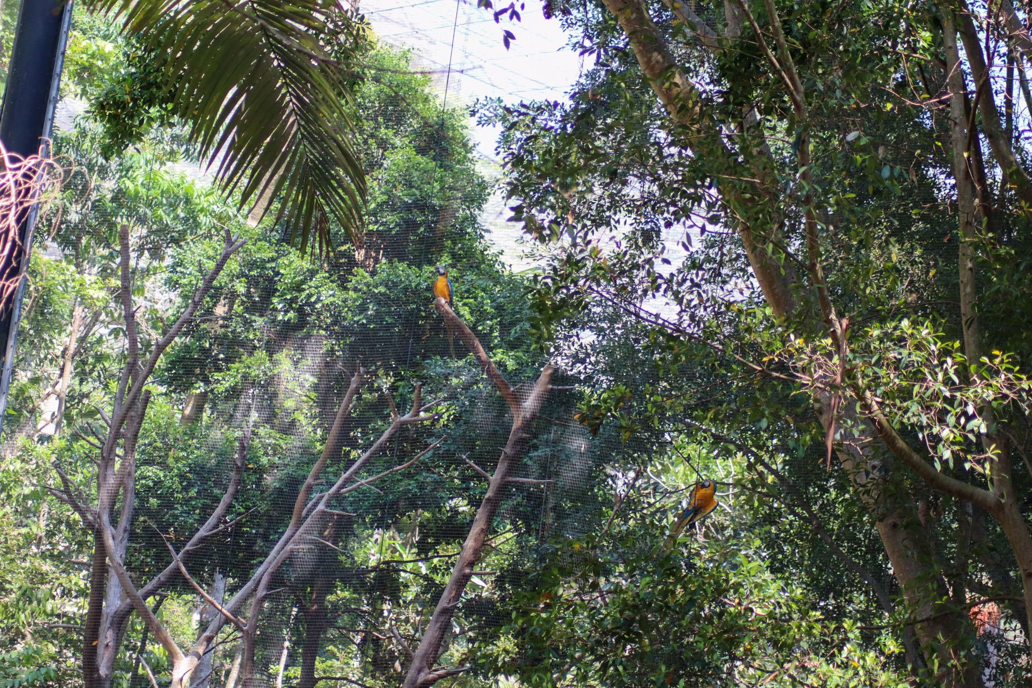 Entrance to Lost Valley Aviary - January 2020