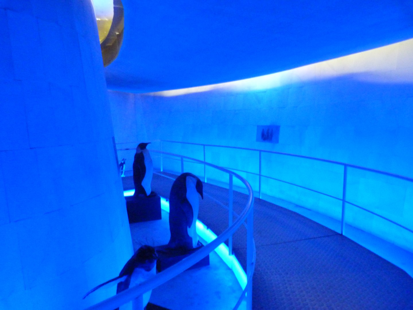 Entrance to main penguin exhibit -Faunia (2025)