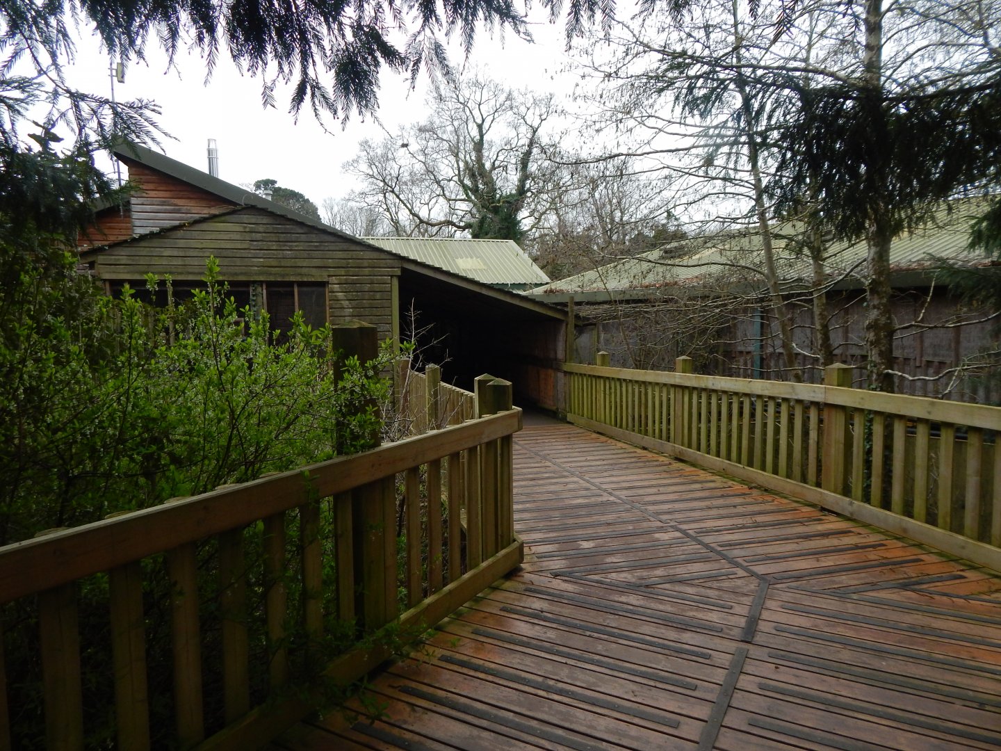 Entrance to Monkey Heights 050224