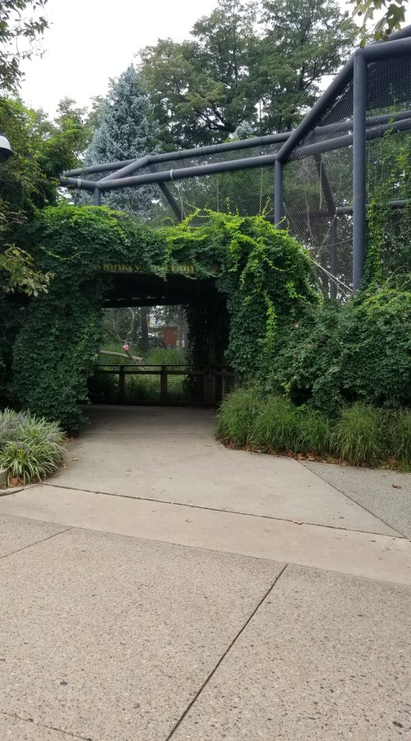 Entrance to Monkey Junction