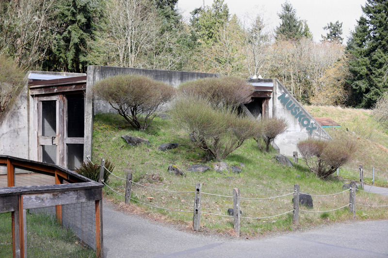 entrance to musk ox viewing