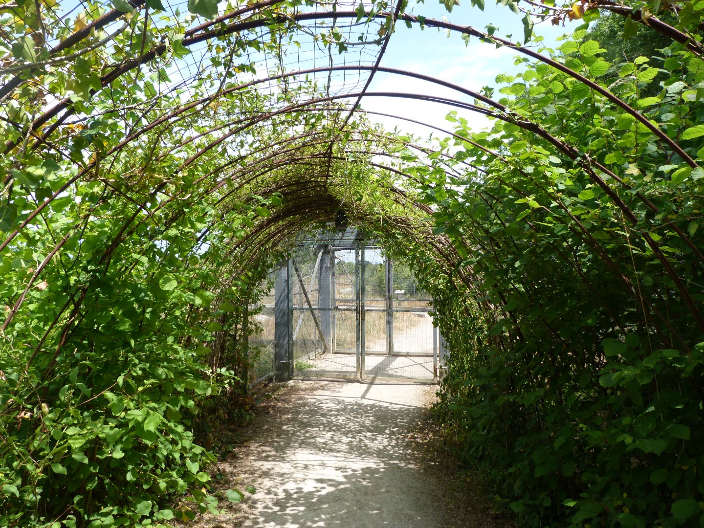 Entrance to "Odyssée des Campagnes" -Zoodyssée (2025)