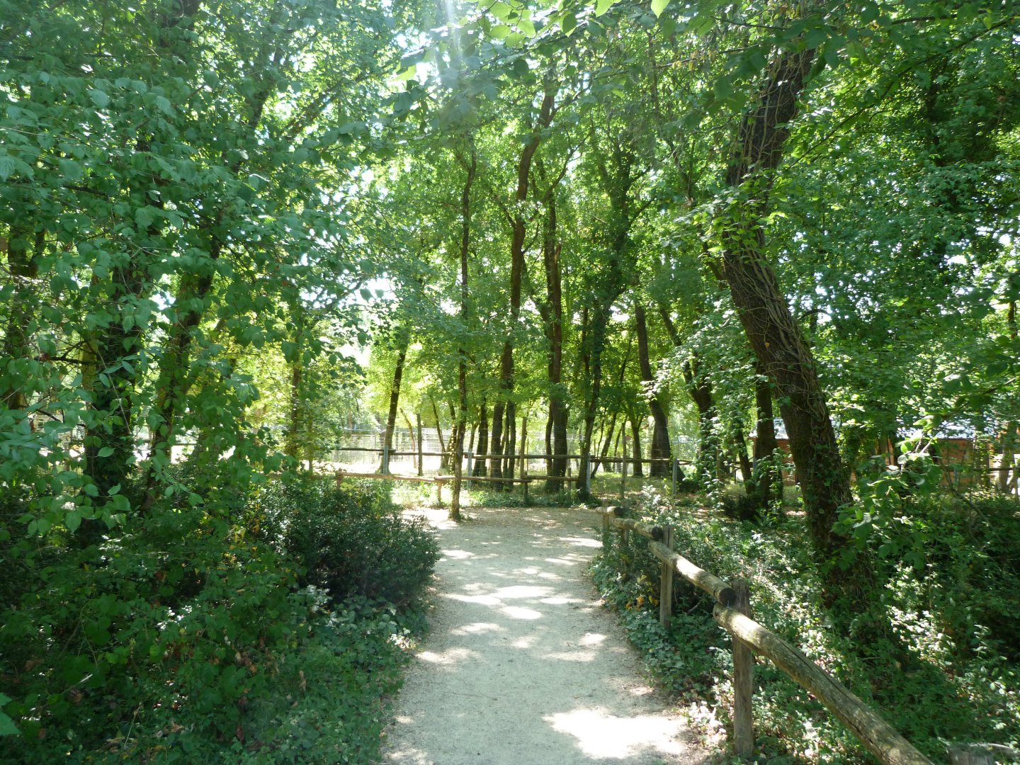 Entrance to "Odyssée des Montagnes" -Zoodyssée (2025)