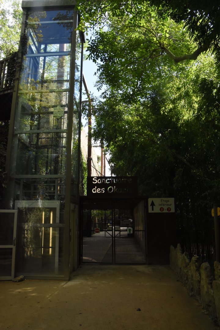 Entrance to Okapi aviary and elevator to upper level
