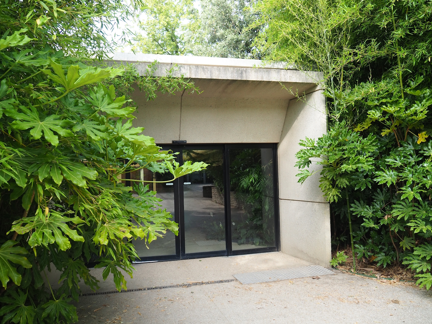 Entrance to okapi house and ape house, 2023-07-22