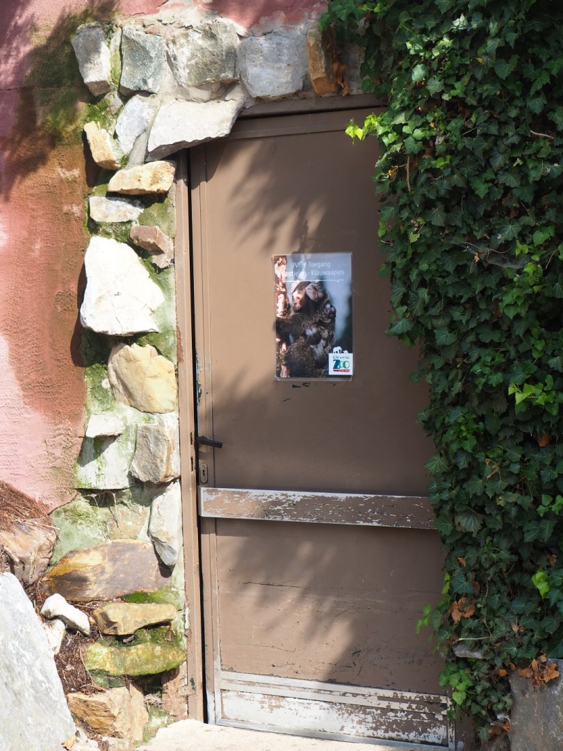 Entrance to old reptile house, now housing reptiles, invertebrates and callitrichids, 2019-08-04