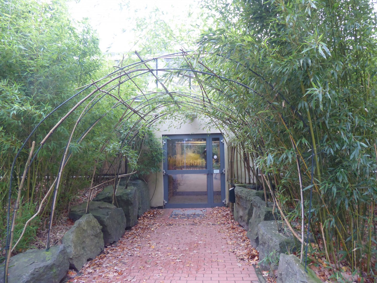 Entrance to Orangutan House 021219