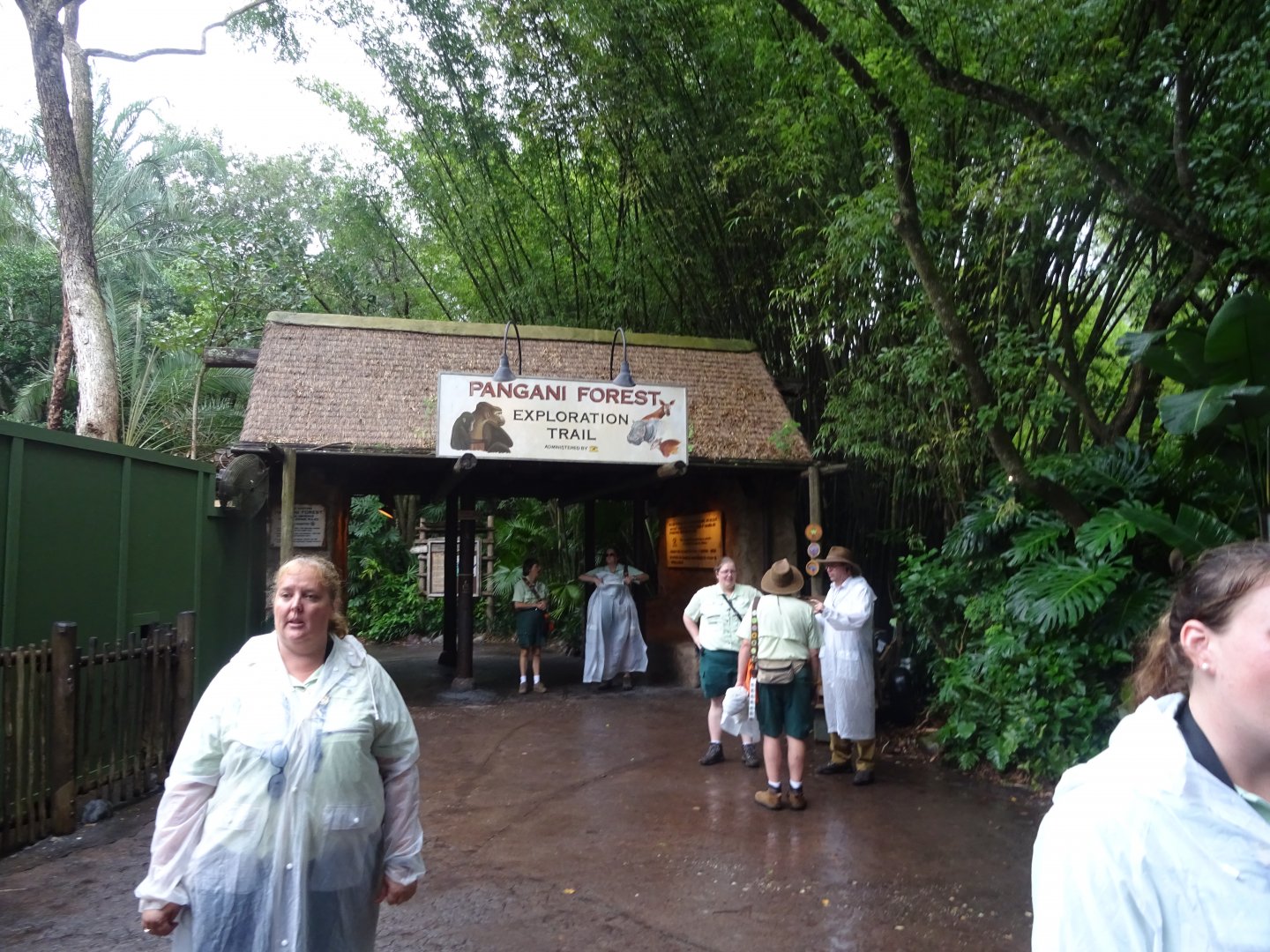 Entrance to Pangani Forest at Disney's Animal Kingdom (2014)