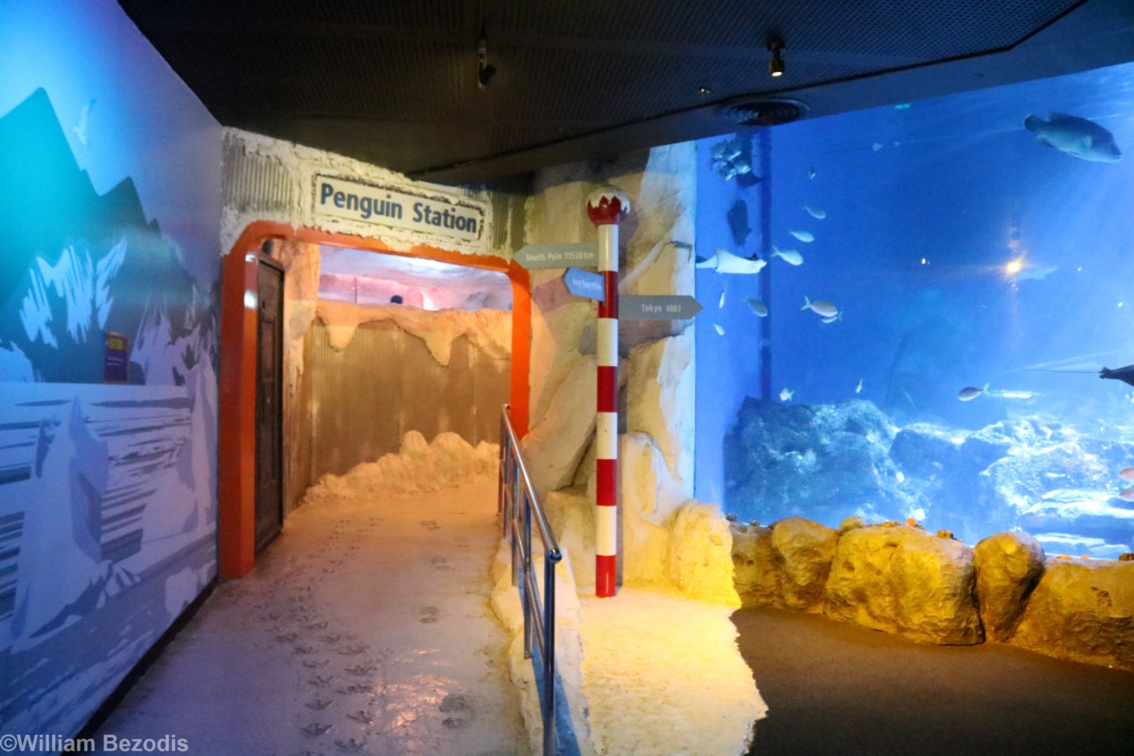 Entrance to Penguin Area