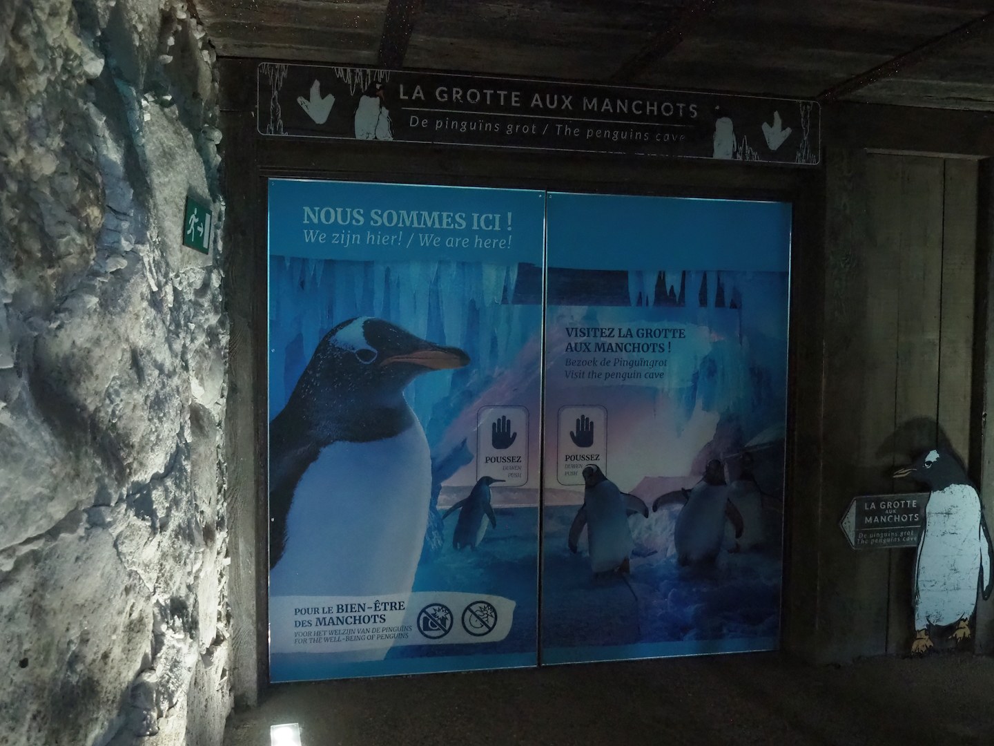 Entrance to penguin cave, 2023-10-13