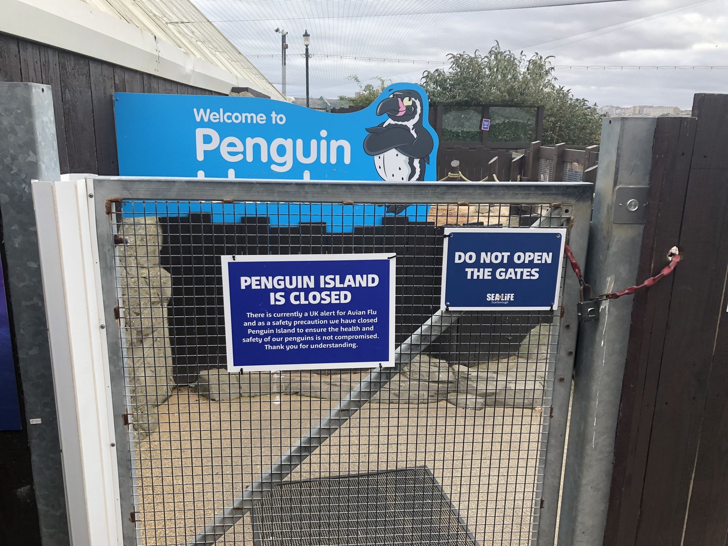Entrance to Penguin Island at SEA LIFE Scarborough (September 2022)