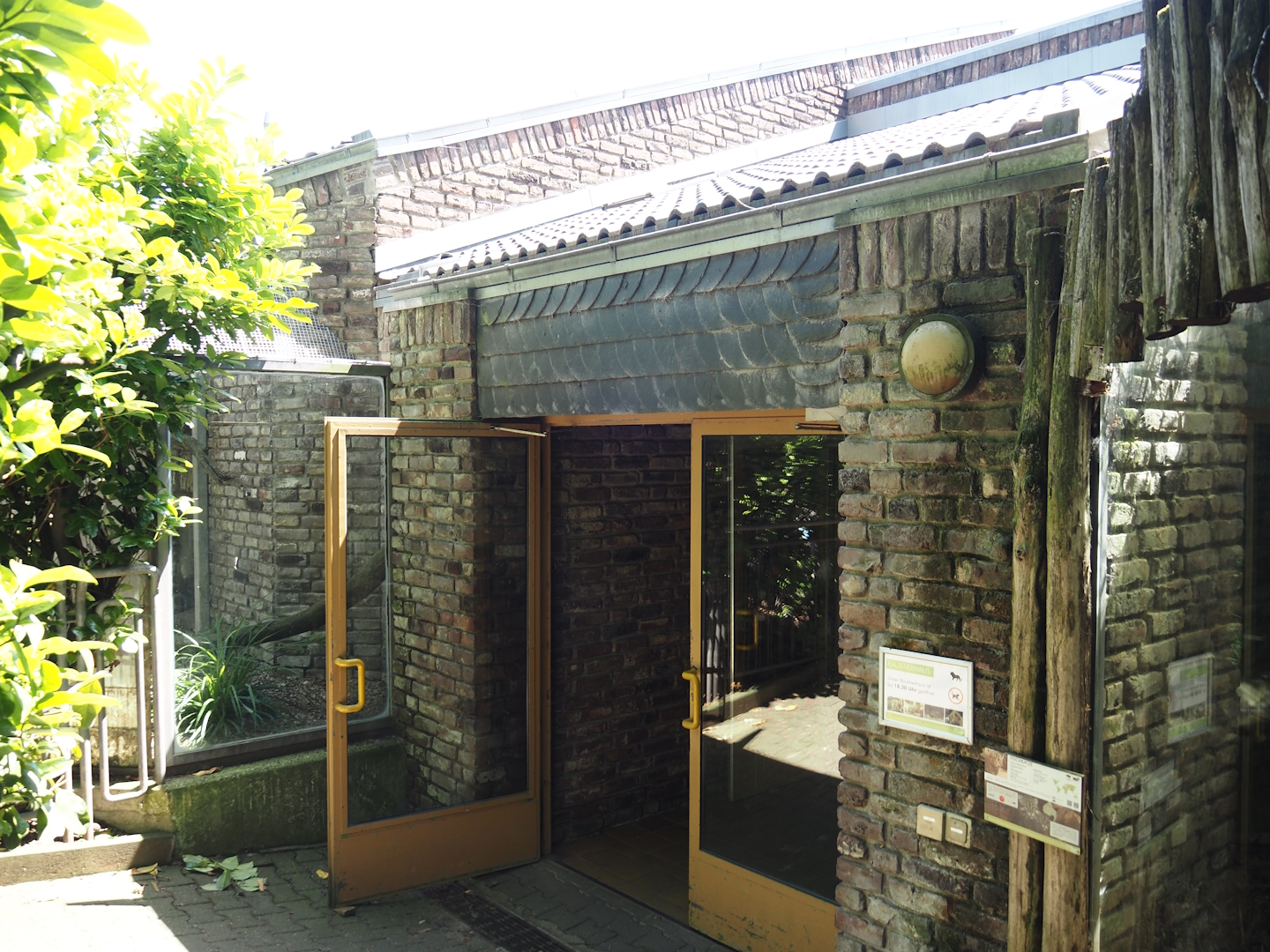 Entrance to predator house, 2024-06-08