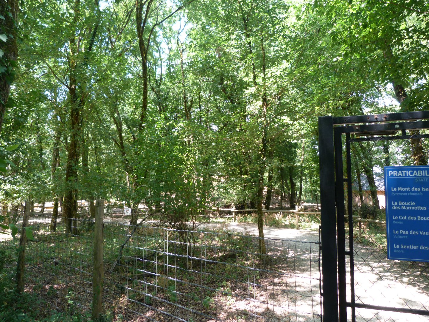 Entrance to Pyrenean chamois walkthrough exhibit -Zoodyssée (2025)