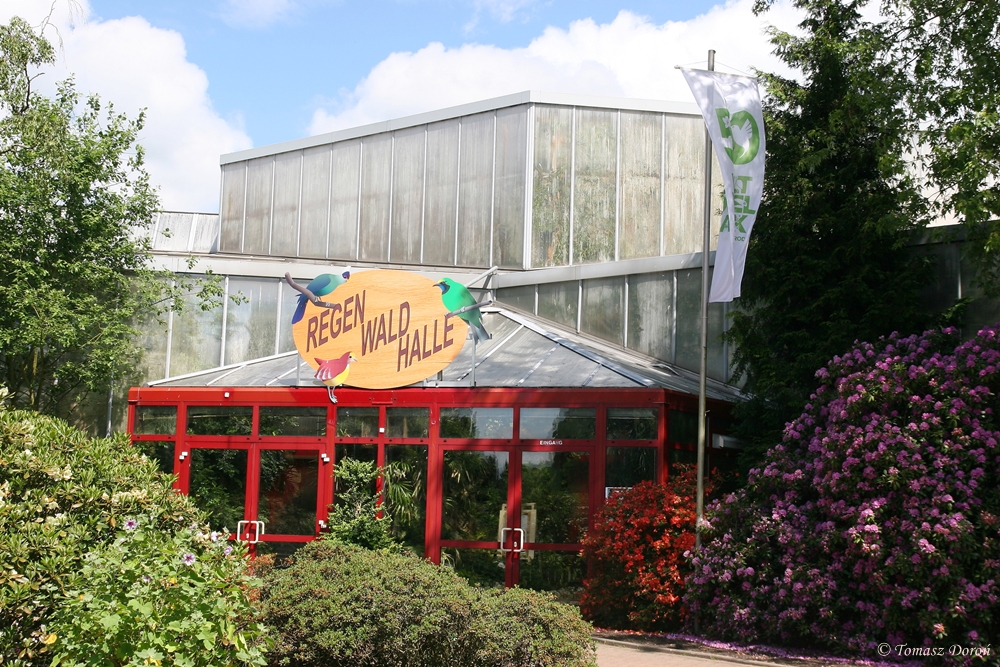 Entrance to "Regenwaldhalle"