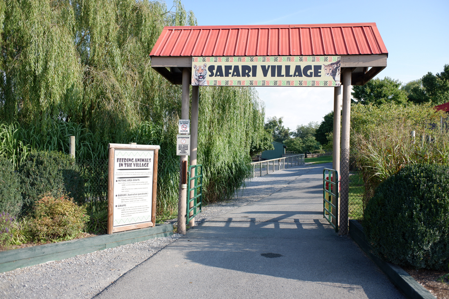 entrance to safari village