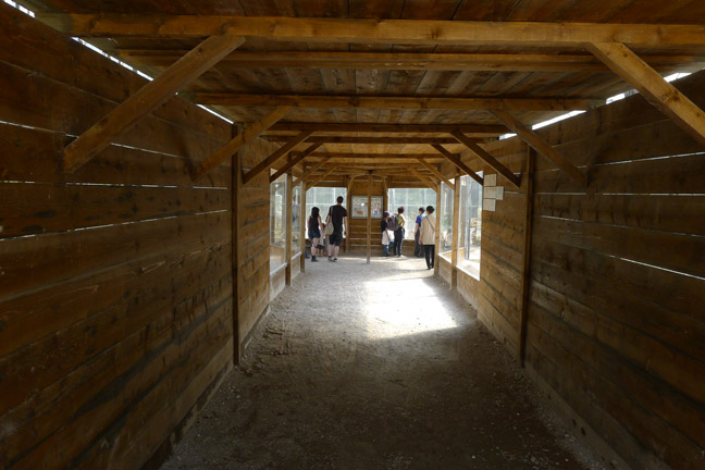 entrance to sand cat exhibits